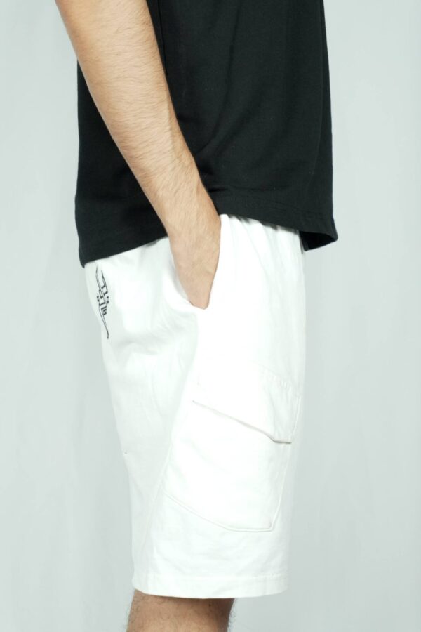 flame shorts by blaze