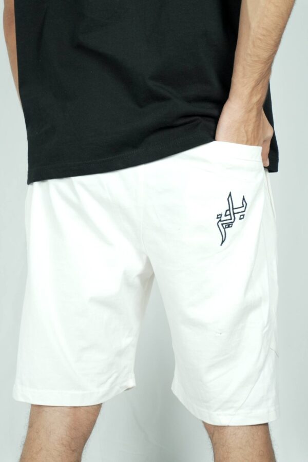 flame shorts by blaze